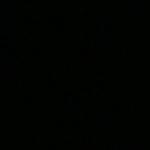 Meet your Posher, Lucy